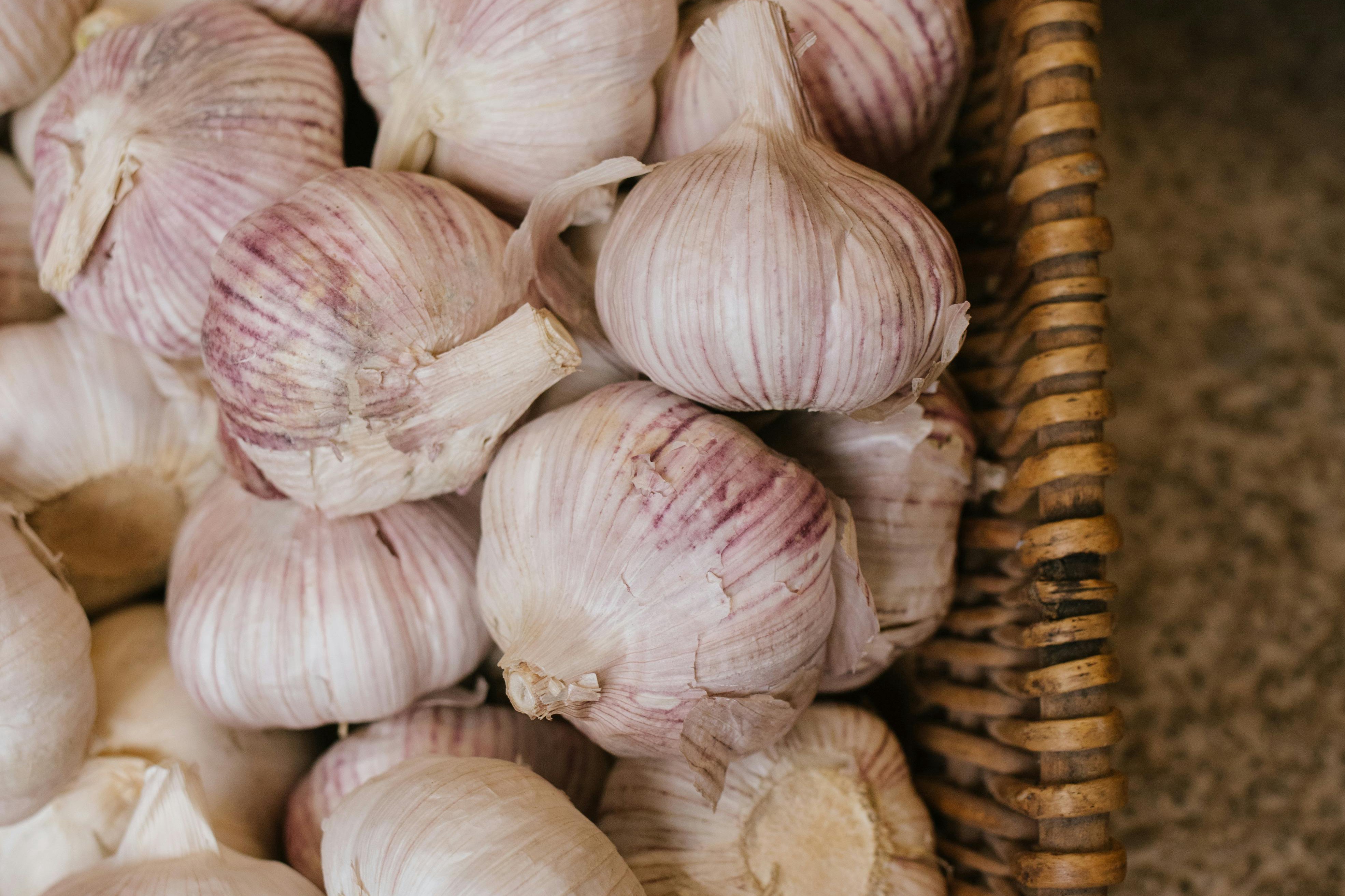 garlic benefits