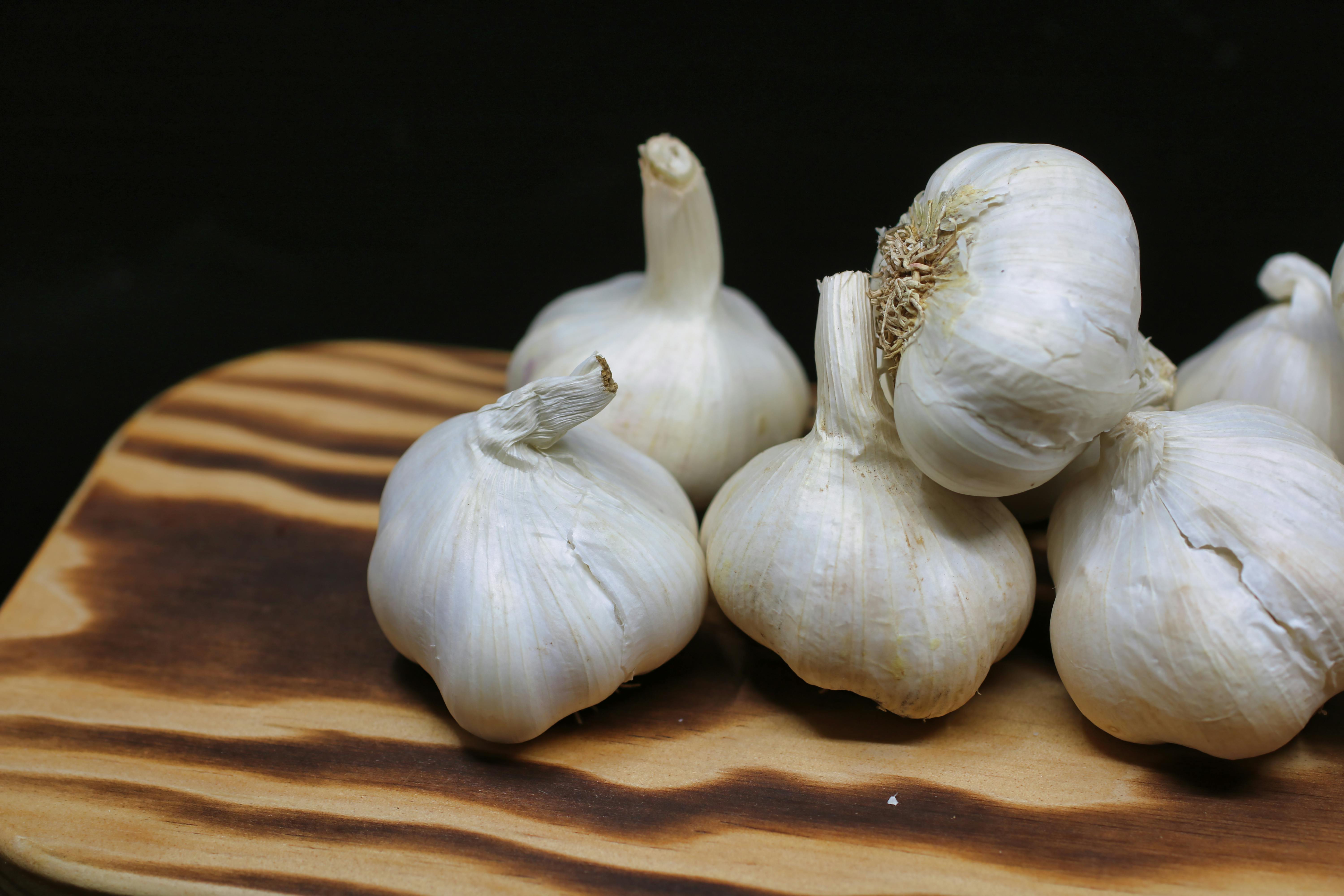 healthy garlic