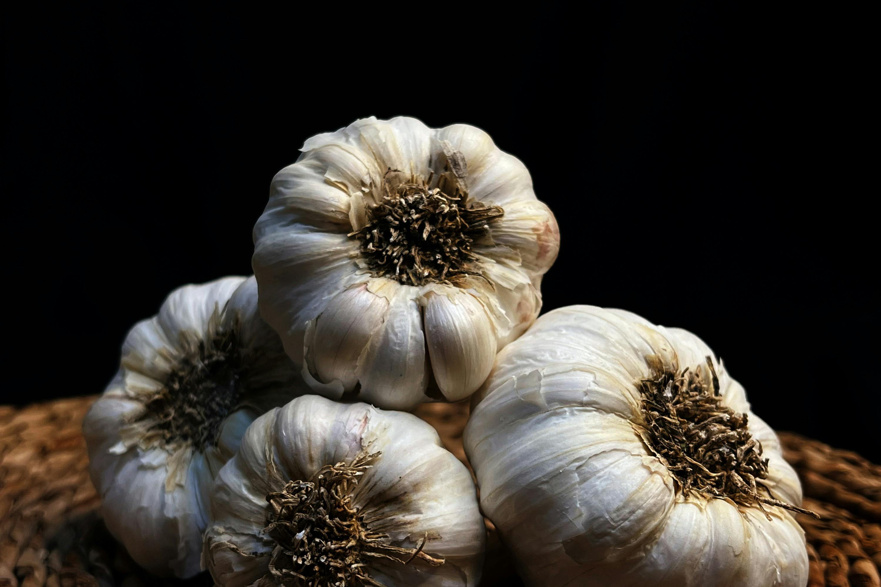 fresh garlic